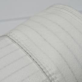 Anti-static Polyester Filter bags